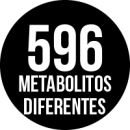 Hasaki-596metabolitos Hasaki-596metabolitos